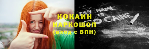 прущие грибы Абинск