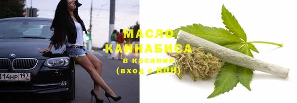 прущие грибы Абинск