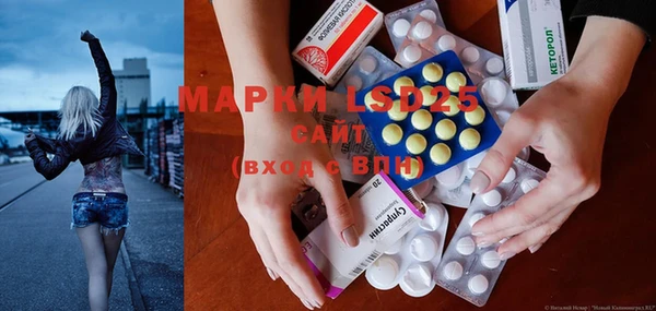 прущие грибы Абинск