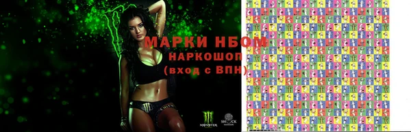 прущие грибы Абинск