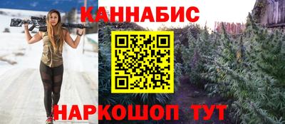 мяу мяу мука Нальчик