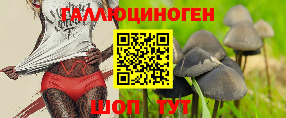 Тында  Галлюциногенные грибы MAGIC MUSHROOMS  Вход с VPN 