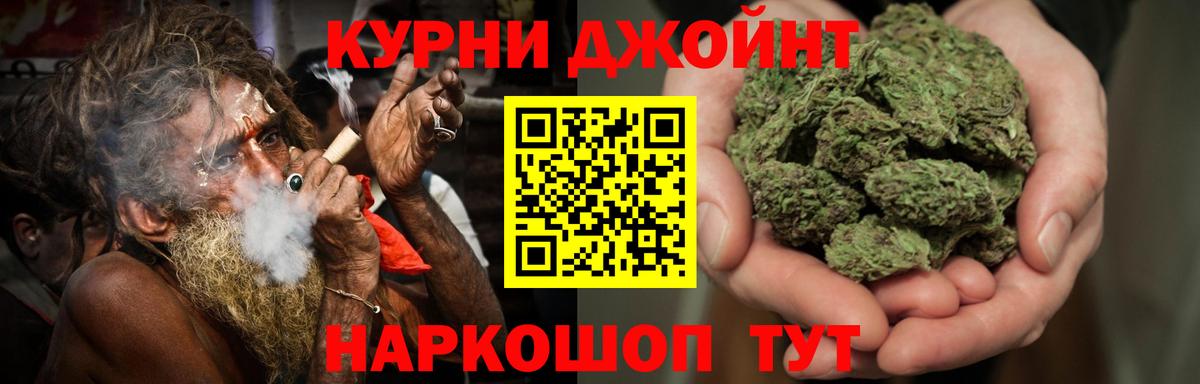 Бошки марихуана тримм  Вход с VPN  Тында  Конопля планчик  Конопля индика 